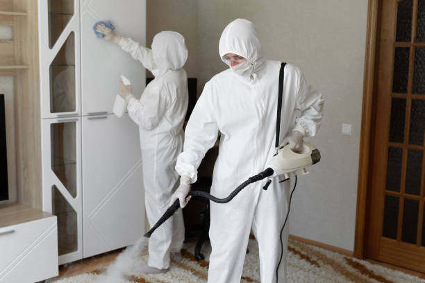 Best Residential Mold Remediation in Richardson, TX