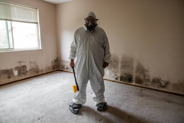 Trusted Richardson, TX Mold Remediation Experts